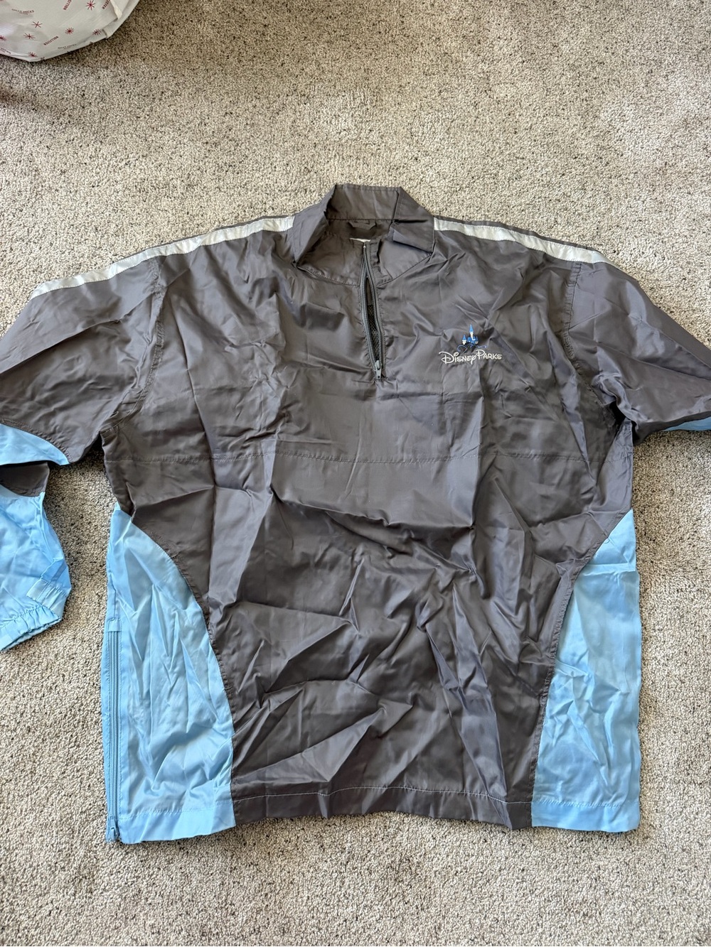 Disney Men's Gray and Light Blue Windbreaker